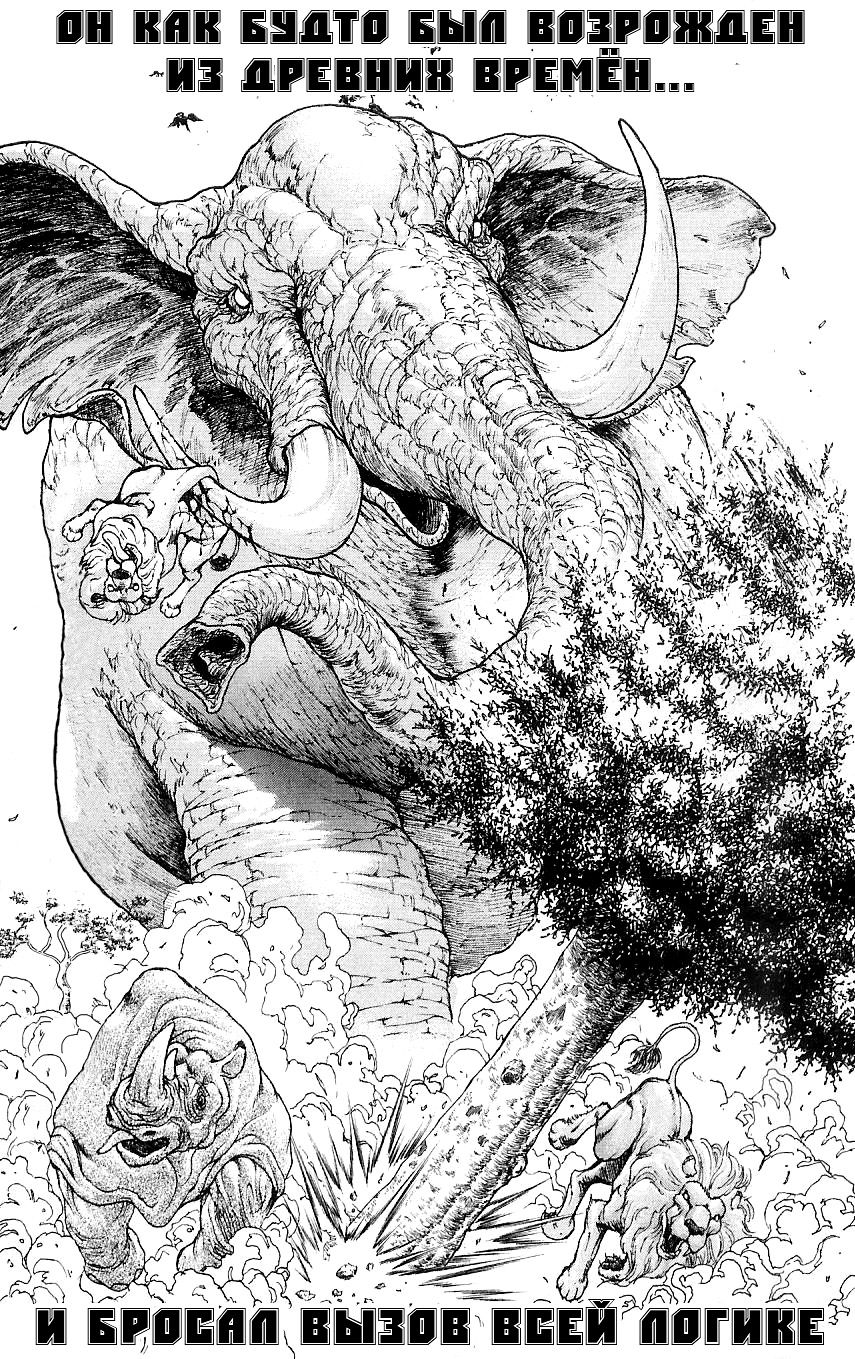 Hanma Baki Кровавый след боя богов 第13页