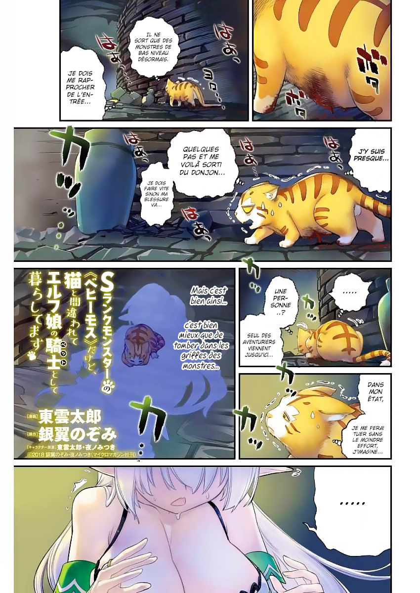 S-Rank Monster no "Behemoth" dakedo, Neko to Machigawarete Elf Musume no Pet to Shite Kurashitemasu Vol. 1 Ch. 1 第2页