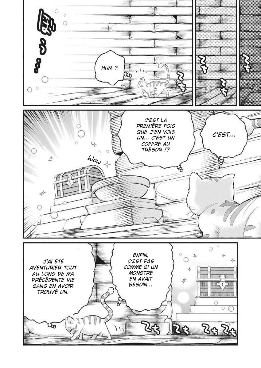 S-Rank Monster no "Behemoth" dakedo, Neko to Machigawarete Elf Musume no Pet to Shite Kurashitemasu Vol. 1 Ch. 1 第17页