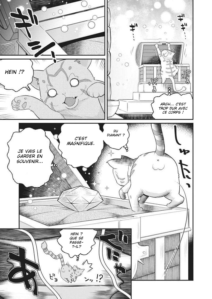 S-Rank Monster no "Behemoth" dakedo, Neko to Machigawarete Elf Musume no Pet to Shite Kurashitemasu Vol. 1 Ch. 1 第18页