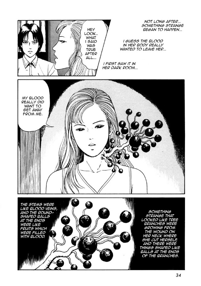Junji Ito Horror Manga Collection Blood-bubble Bushes 第32页