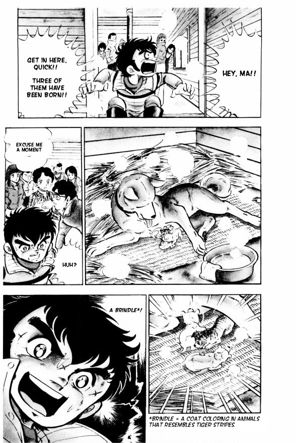 Silver Fang – The Shooting Star Gin – The Birth of the Bearhound, Gin! 第25页