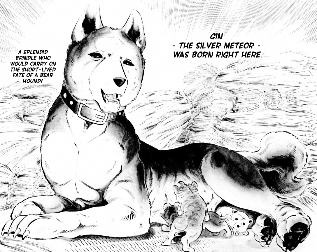 Silver Fang – The Shooting Star Gin – The Birth of the Bearhound, Gin! 第26页