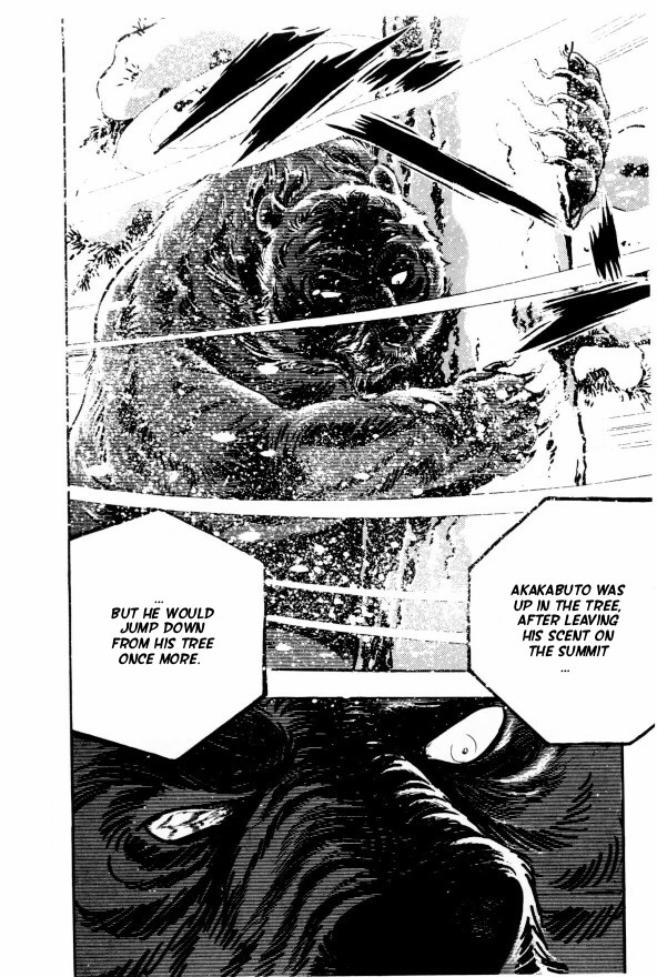 Silver Fang – The Shooting Star Gin – The Birth of the Bearhound, Gin! 第52页