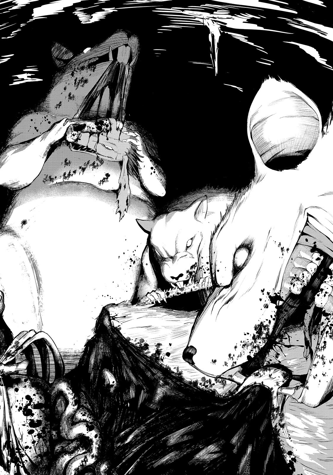 Boushoku-Hi no Ken Taşımacı Dean 第15页