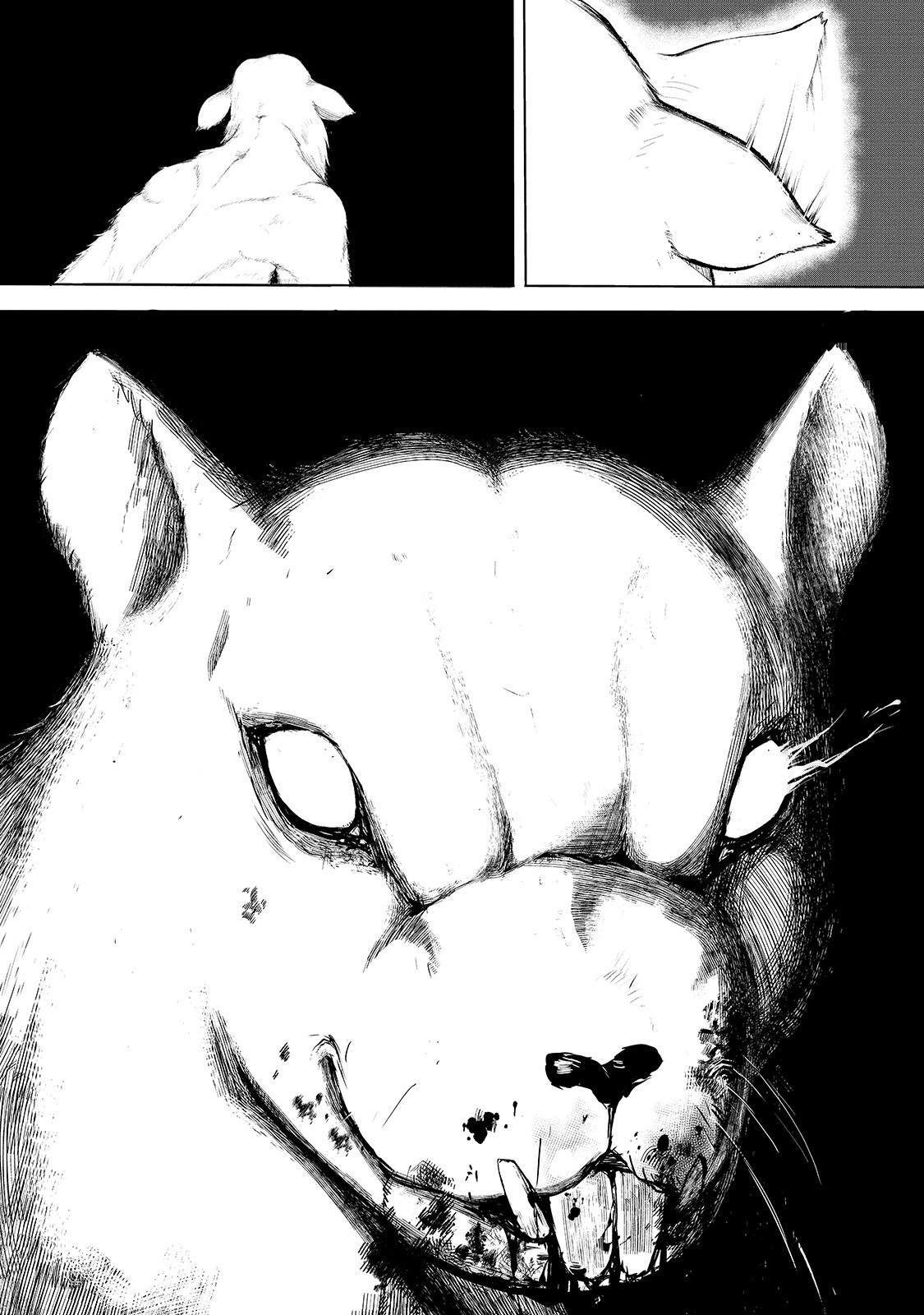 Boushoku-Hi no Ken Taşımacı Dean 第17页