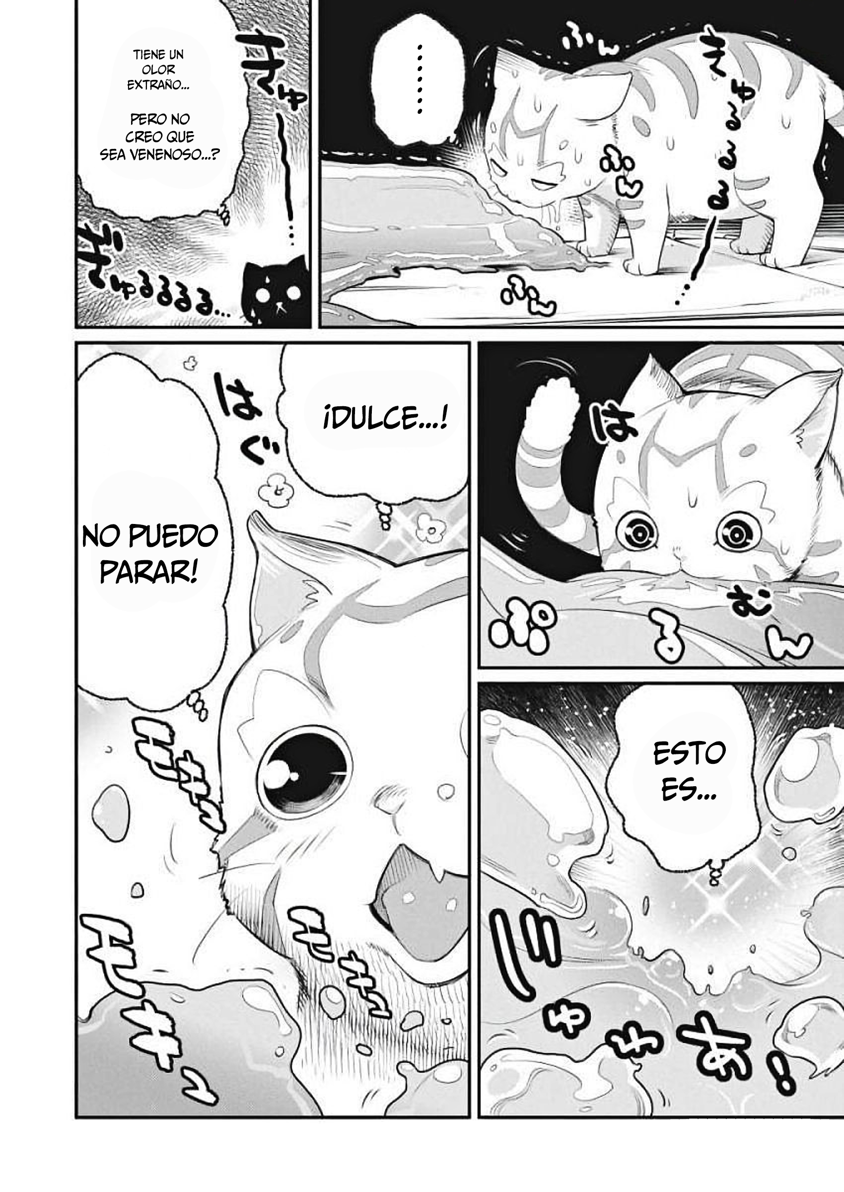 S-Rank Monster no "Behemoth" dakedo, Neko to Machigawarete Elf Musume no Pet to Shite Kurashitemasu El voto de un caballero 第12页