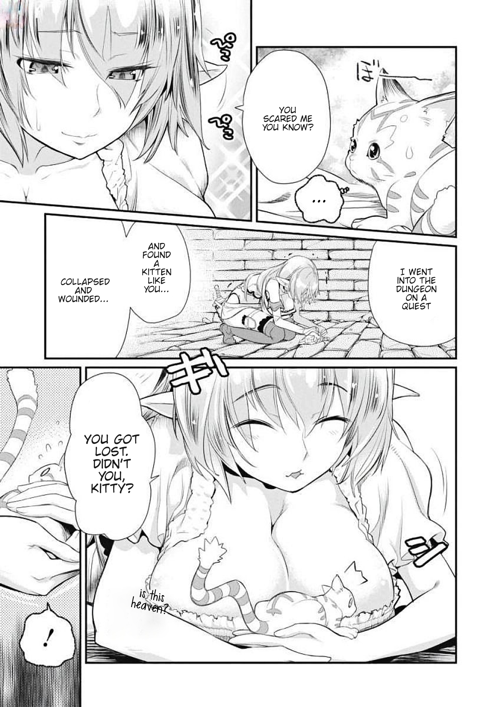 S-Rank Monster no "Behemoth" dakedo, Neko to Machigawarete Elf Musume no Pet to Shite Kurashitemasu A Knight's vow 第7页