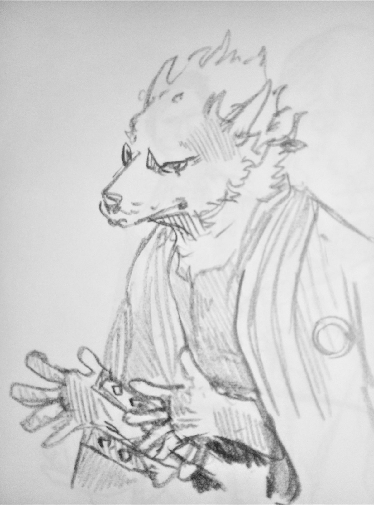 Dog Nigga Hikayem 第9页
