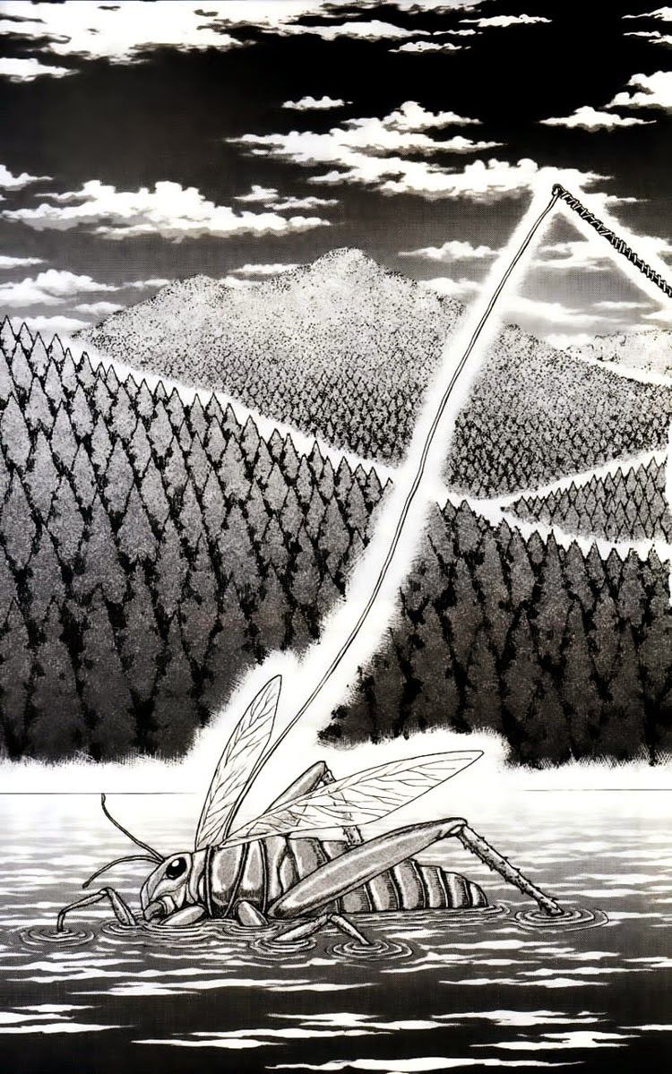 TORIKO Vol. 1 Ch. 1 第18页