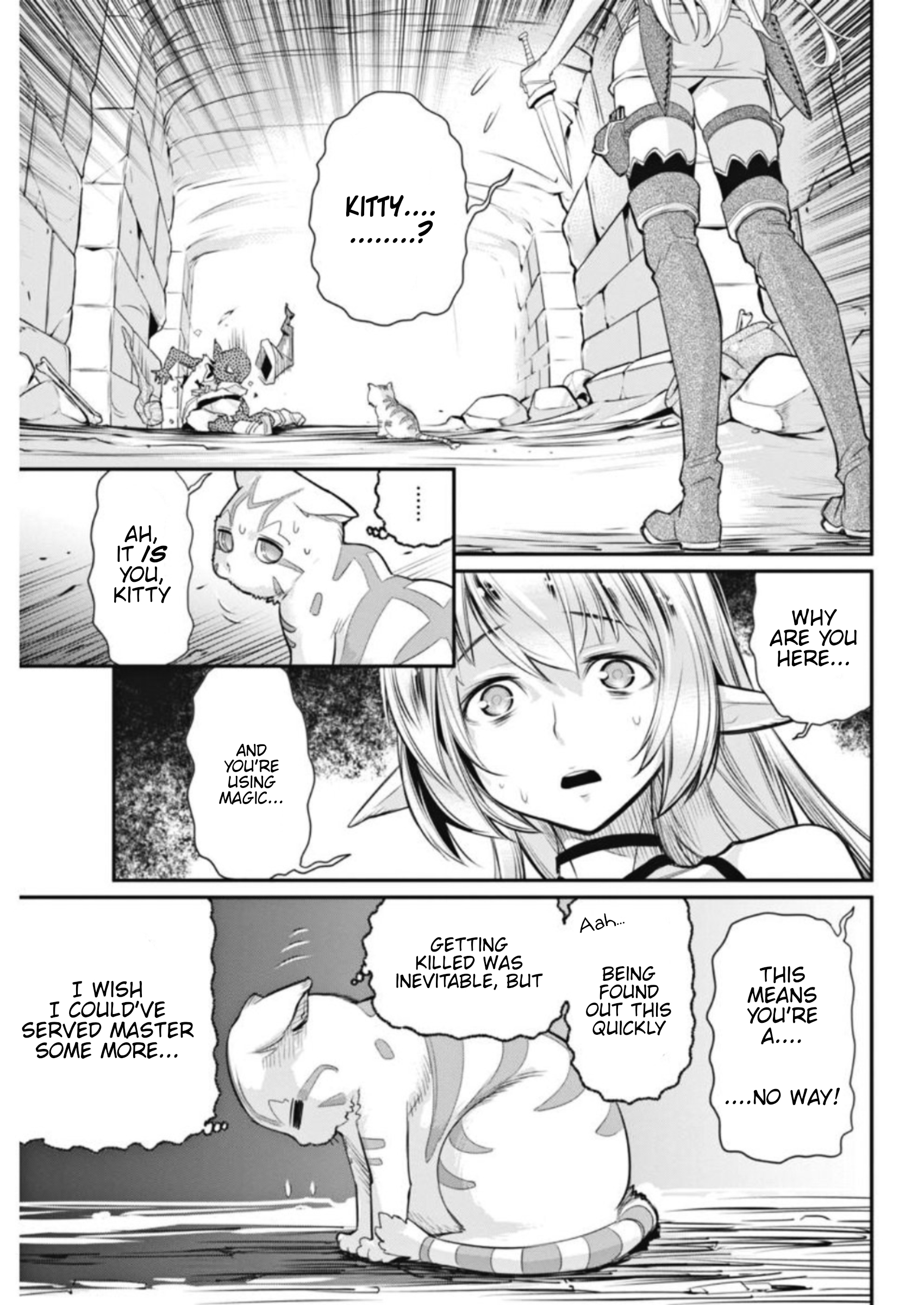 S-Rank Monster no "Behemoth" dakedo, Neko to Machigawarete Elf Musume no Pet to Shite Kurashitemasu The Elf Girl's Secret 第17页