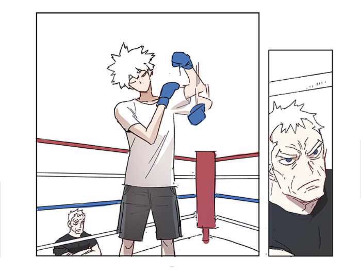 The Boxer EL GENIO 第36页