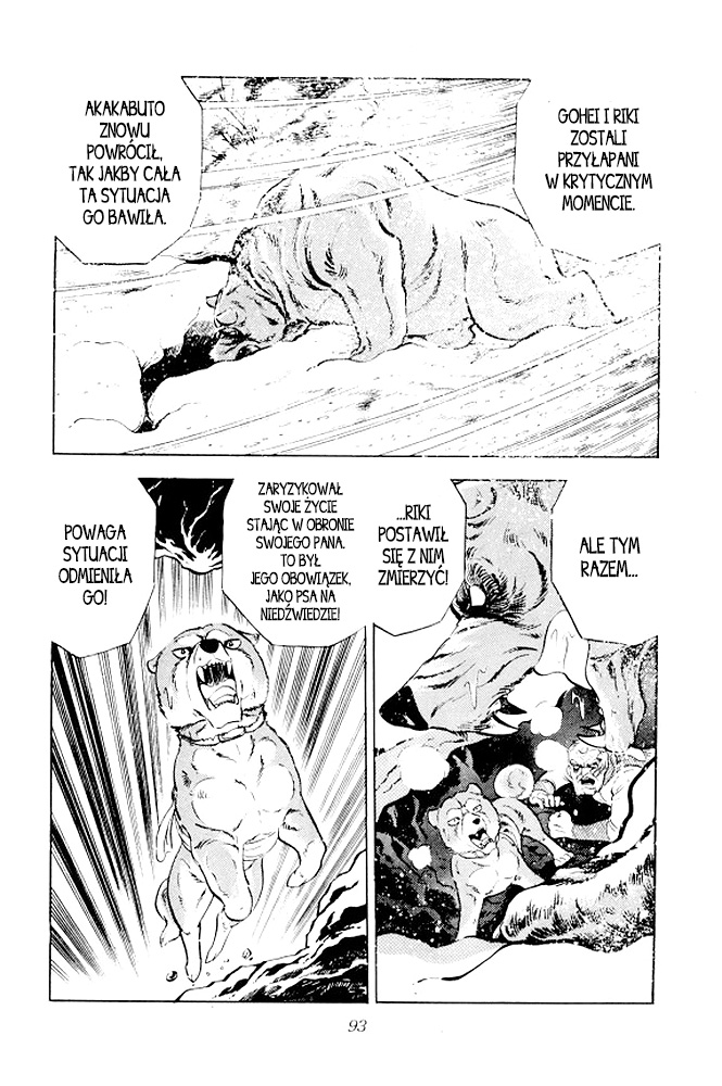 Silver Fang – The Shooting Star Gin – Ostatnie chwile Rikiego! 第36页