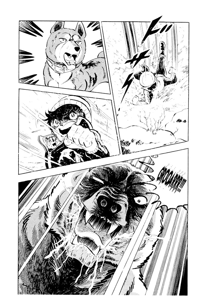 Silver Fang – The Shooting Star Gin – Ostatnie chwile Rikiego! 第54页