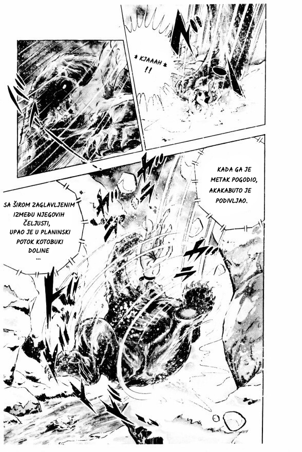 Silver Fang – The Shooting Star Gin – ROĐENJE MEDVEĐEG GONIČA, GINA! 第11页