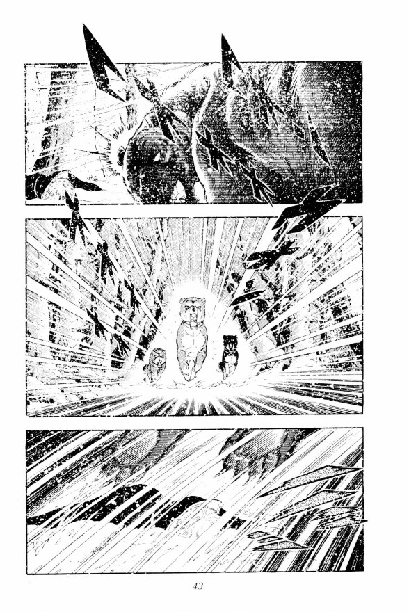 Silver Fang – The Shooting Star Gin – ROĐENJE MEDVEĐEG GONIČA, GINA! 第35页