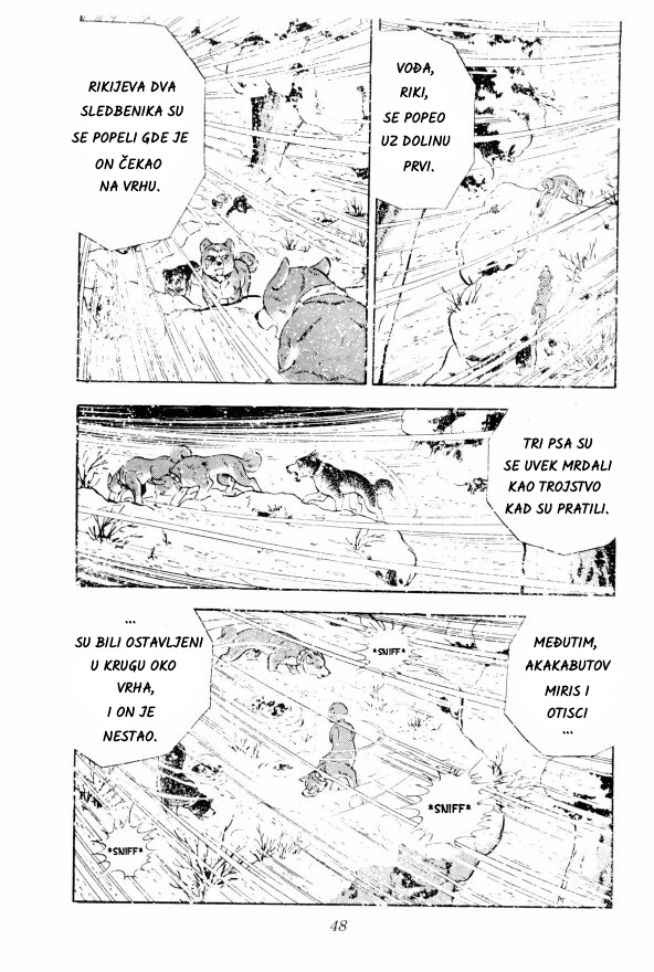 Silver Fang – The Shooting Star Gin – ROĐENJE MEDVEĐEG GONIČA, GINA! 第40页