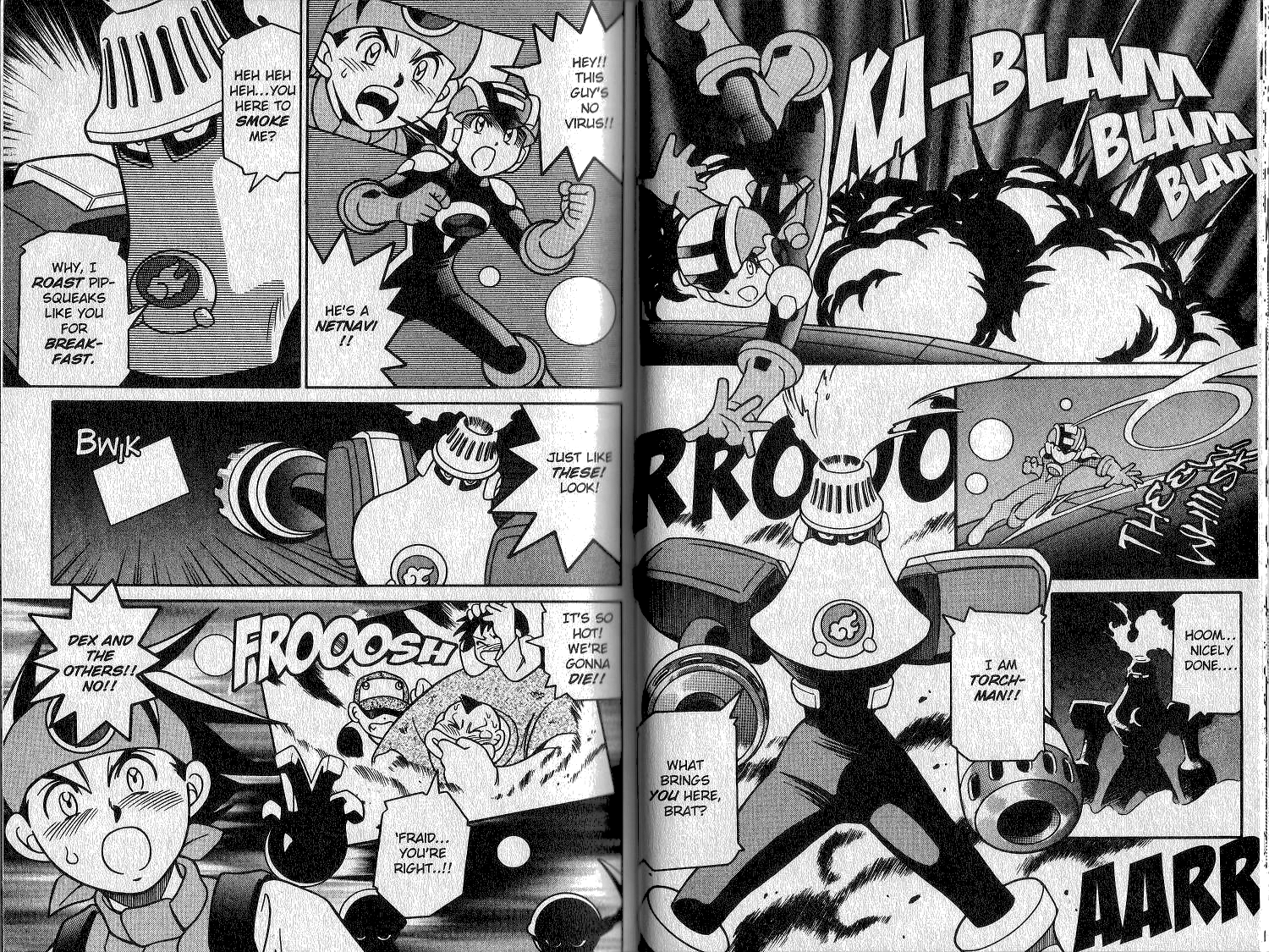 Mega Man Battle Network Battle in the New Century! MegaMan 第15页