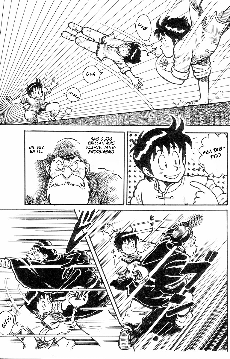 Ironfist Chinmi Chico kungfu Chinmi 第17页