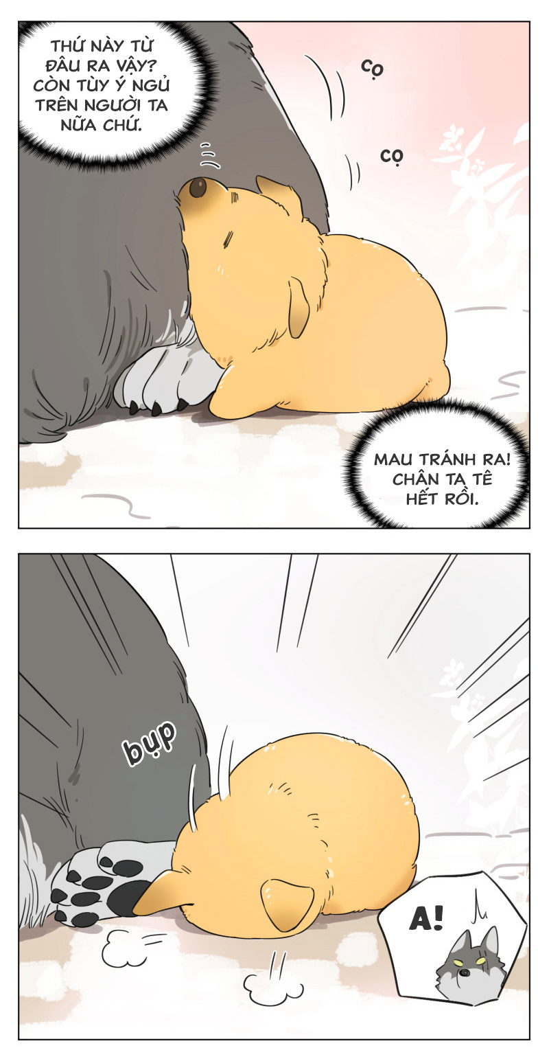 The Wolf That Picked Something Up Vua sói nhặt được một chú chó con 第3页