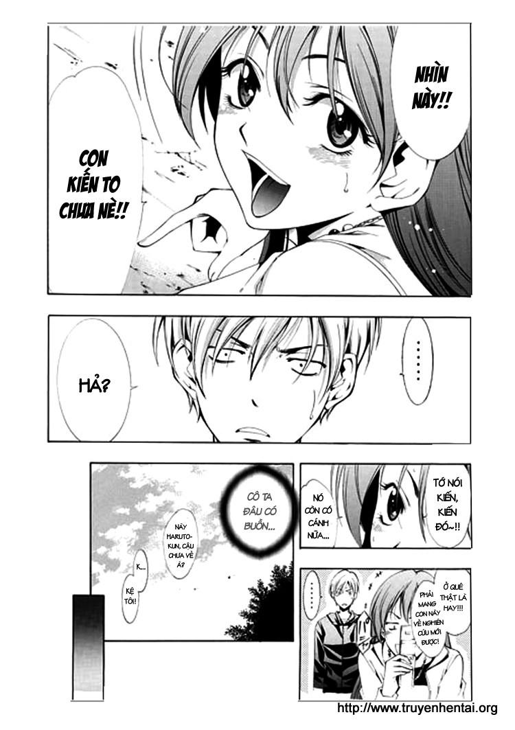 Kimi no Iru Machi Khi anh đào nở rộ 第31页