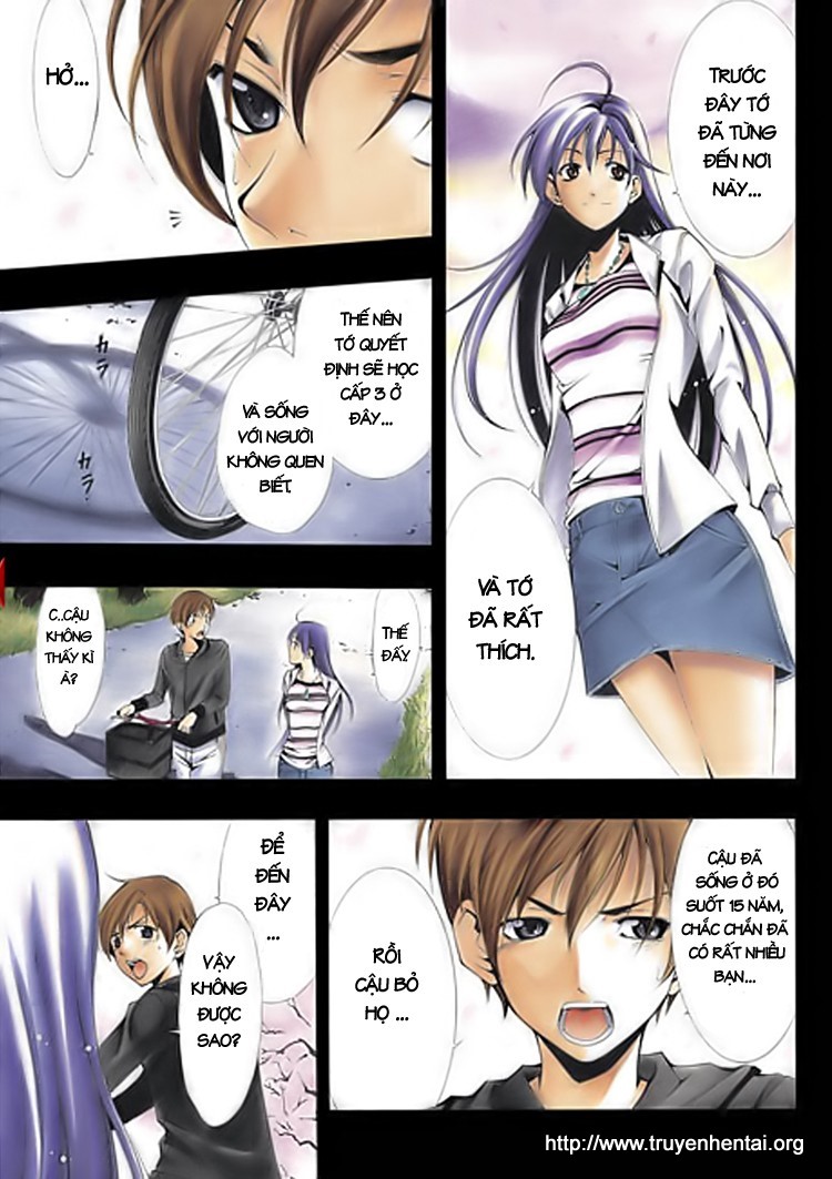Kimi no Iru Machi Khi anh đào nở rộ 第34页