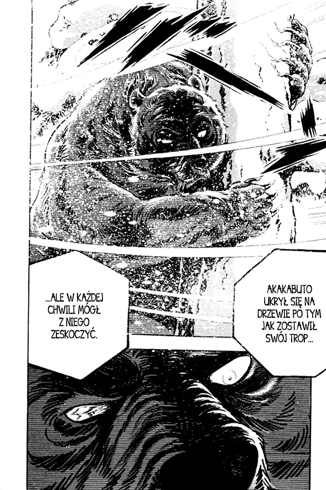 Silver Fang – The Shooting Star Gin – Narodziny psa na niedźwiedzie, Gina! 第46页