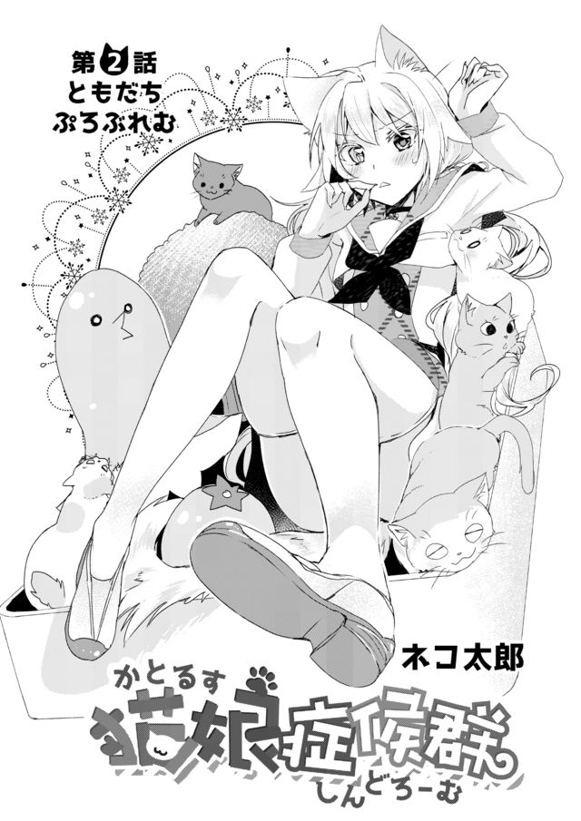 Catulus Syndrome Friend Problem 第1页