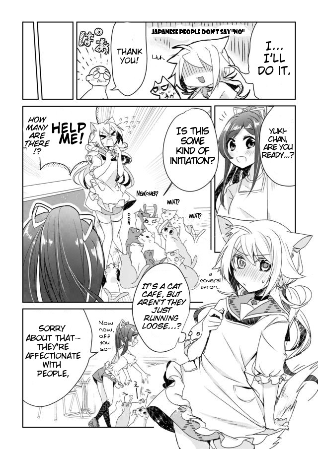 Catulus Syndrome Friend Problem 第8页