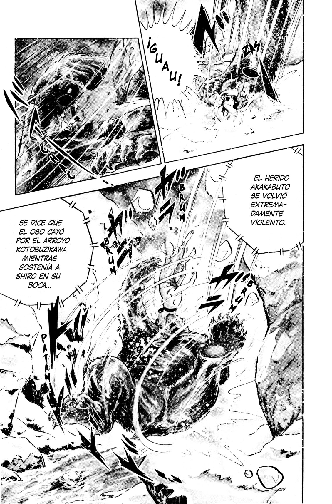 Silver Fang – The Shooting Star Gin – ¡El nacimiento del perro cazador de osos, Gin! 第12页
