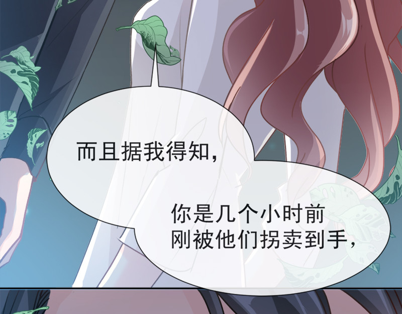 霸道总裁轻点爱 第3话 这一世你们休想得逞！ 第41页