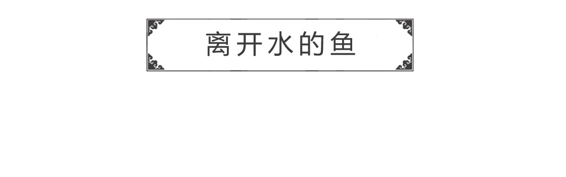 火锅家族第三季 离开水的鱼 第2页